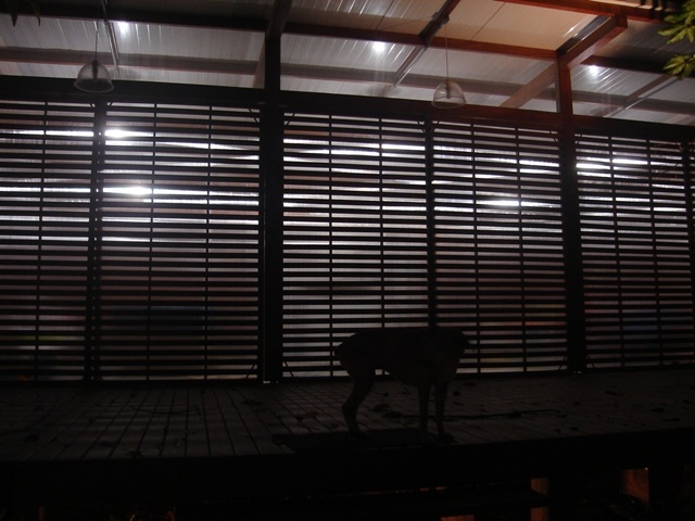 DSC00969Resized (1).jpg