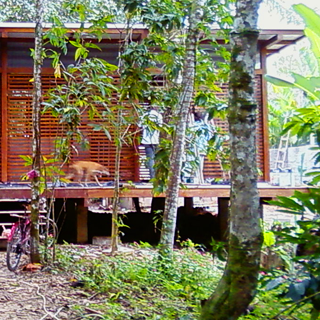 residencia são sebastião (2).png