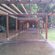 IMG_20111017_160158.jpg